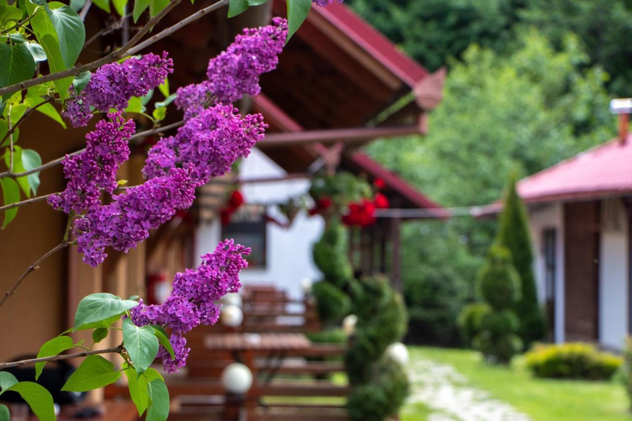 Patakmenti Panzio Spa Corund  Buitenkant foto